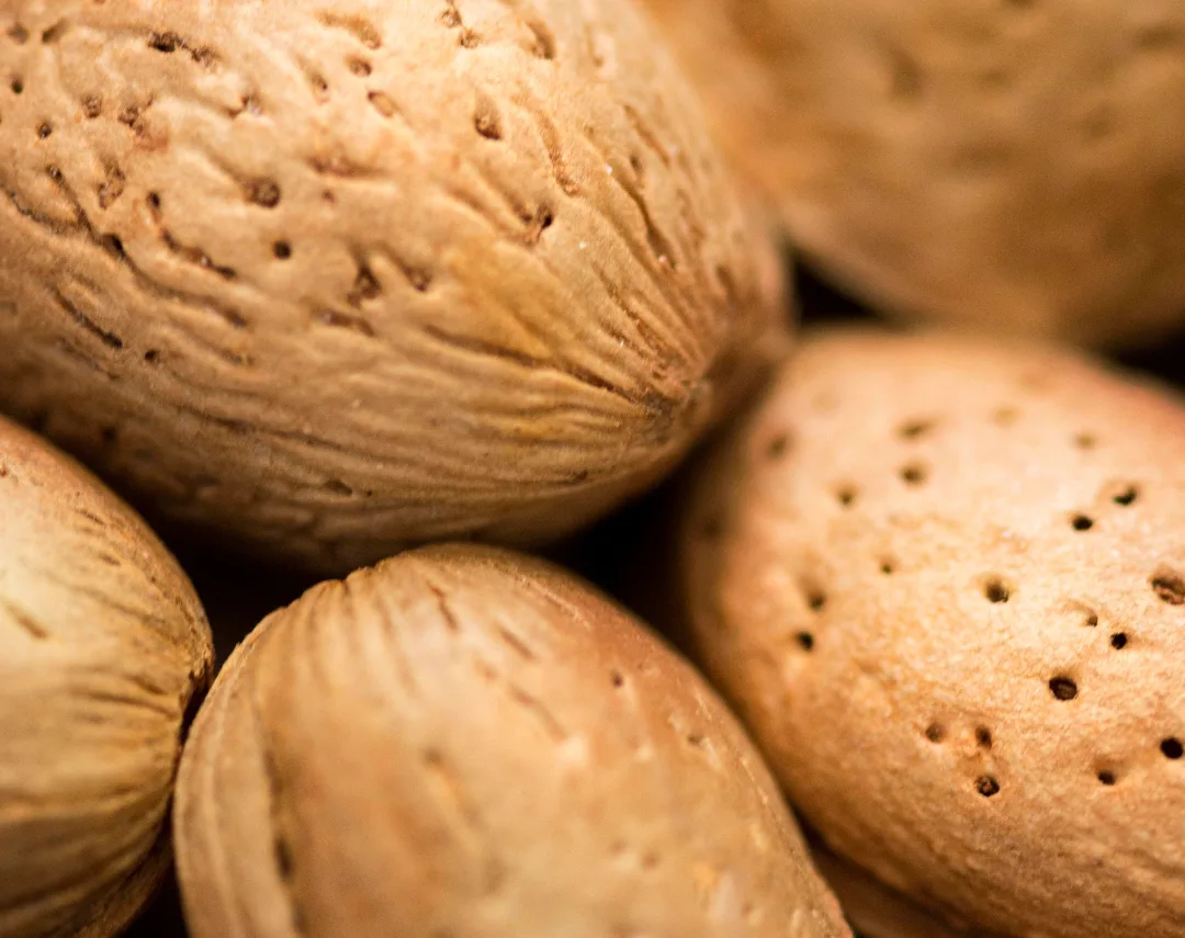 Los beneficios de la recolección mecanizada en cultivos de almendra, pistacho y oliva